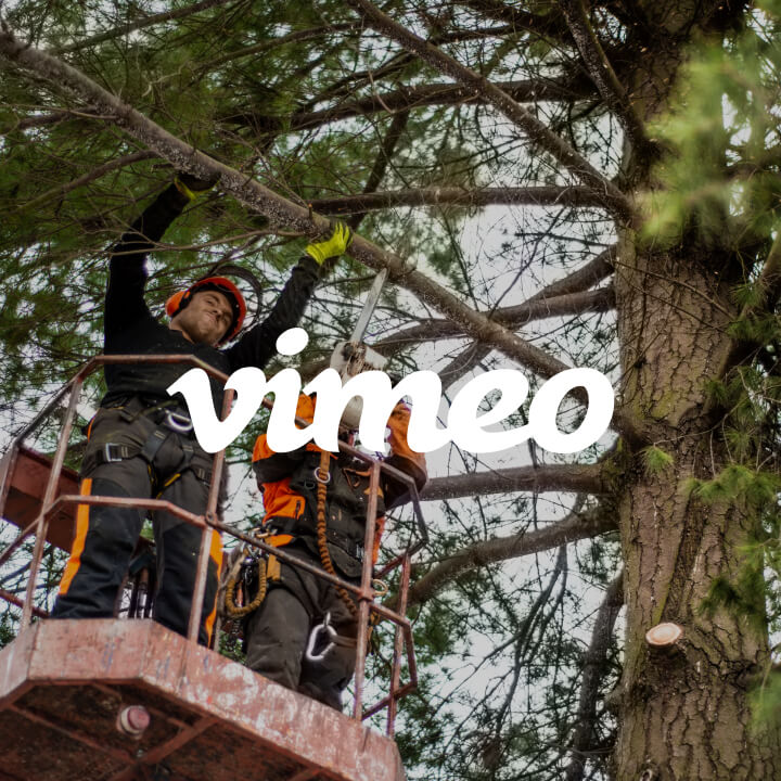 Vimeo